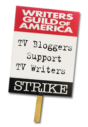 bloggers strike in support of wga