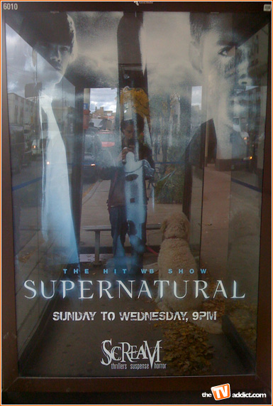 supernatural bus shelter